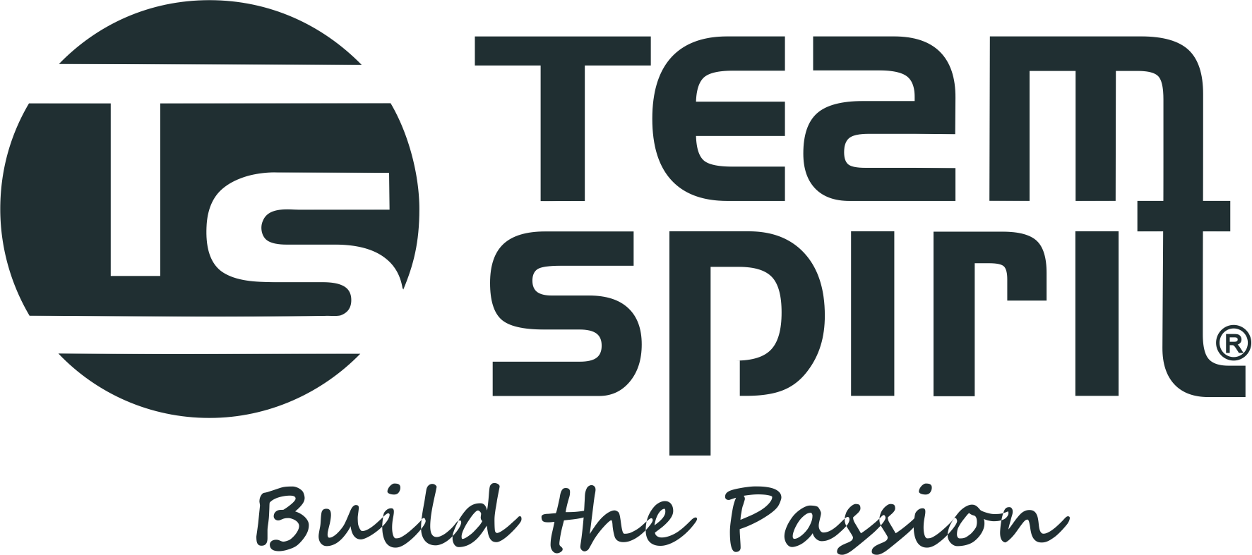 Team Spirit Logo Black